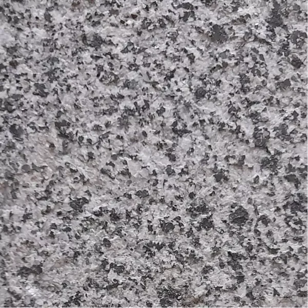 Płyta granitowa szara cięto-palona 10x20x3 cm